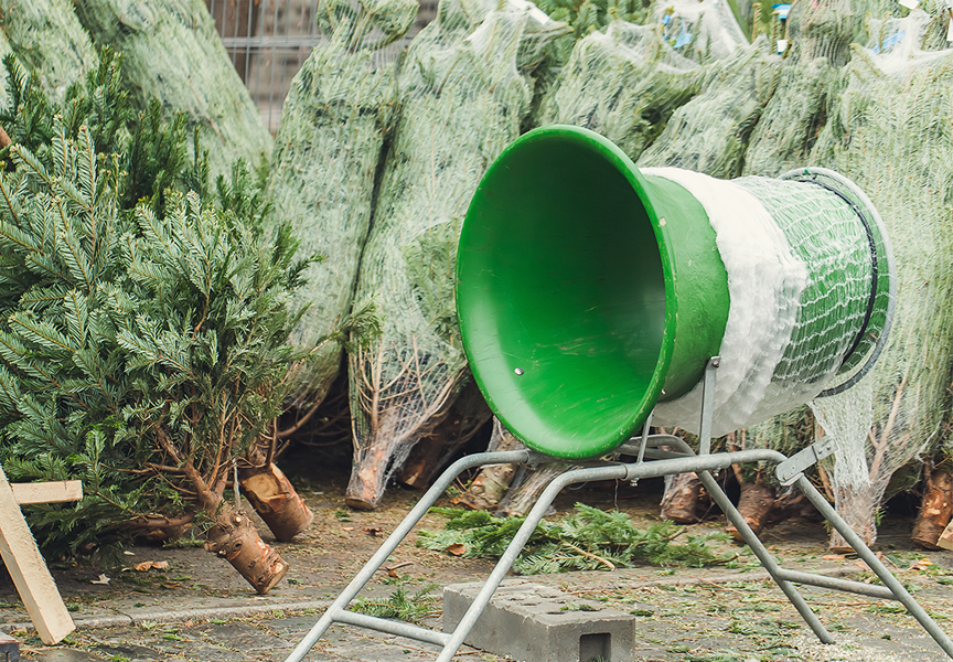 Kerstbomen hoogstraten afhalen 1