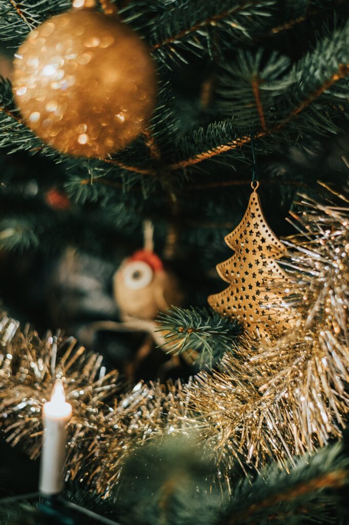 "Prachtige kerstbomen met volle takken te koop in Hoogstraten."