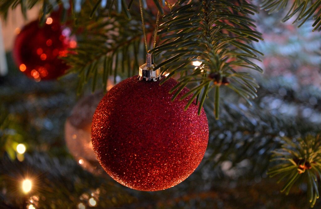 Mooiste kerstbomen koop je bij Kerstbomen Hoogstraten